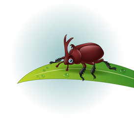 Cartoon rhino beetle on leaf

