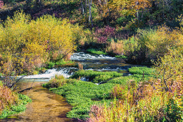 Colors of Autum