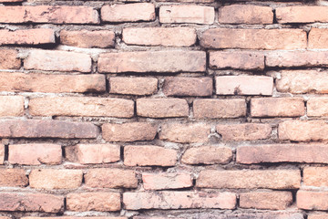 Moldy brick wall background