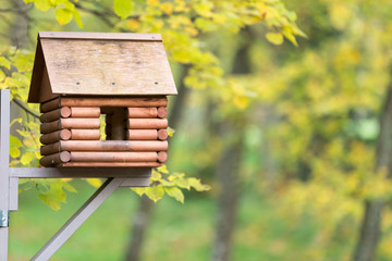 feeders for birds and squirrels