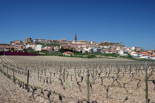 Haro In Rioja District