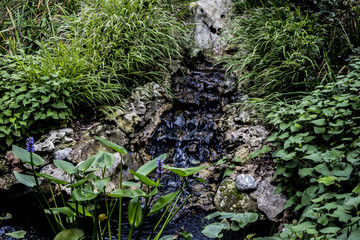 festival dei girdini