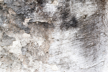 Obraz premium white concrete wall texture