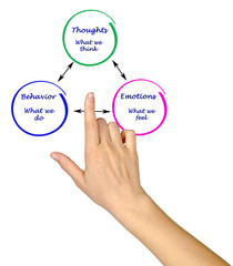 Relationship between cognition, emotions, and behavior