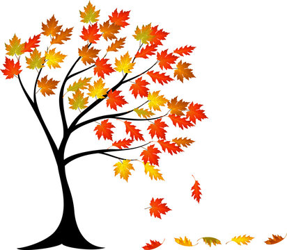 Autumn tree cartoon