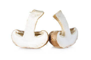 fresh Shiitake mushrooms on white background