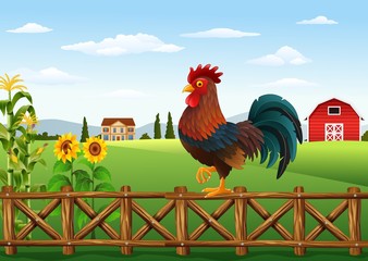 Cute cartoon rooster standing in the farm fence © ekyaky