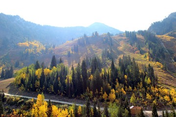 ski resort fall trees sunlight