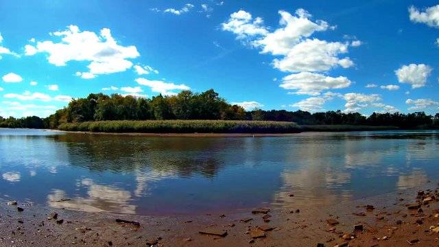Cinemagraph. Summer nature forest lake landscape, t