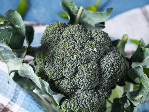 Raw fresh broccoli