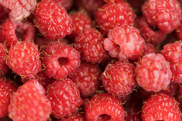 Ripe red raspberry, background
