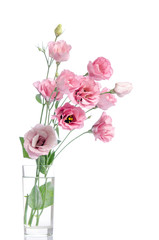 Obraz na płótnie Canvas bunch of pink eustoma flowers in glass vase isolated on white