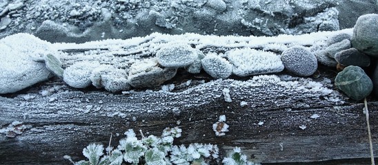 Frosty Snow Rocks