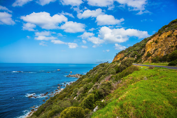 Fototapeta premium The road to Cape of Good Hope