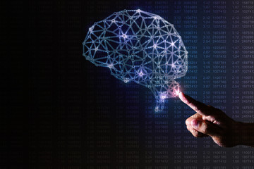 human brain