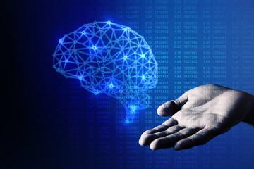 human brain