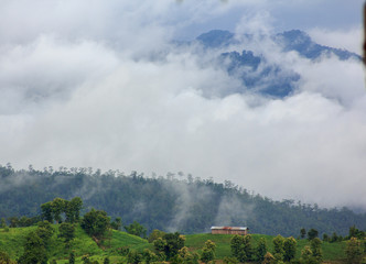 Fototapeta premium House on the Hill