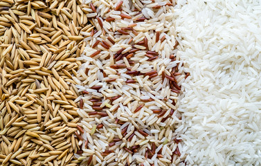 Three rows of rice, paddy seed, brown rice, white (jasmine) rice. Food background.