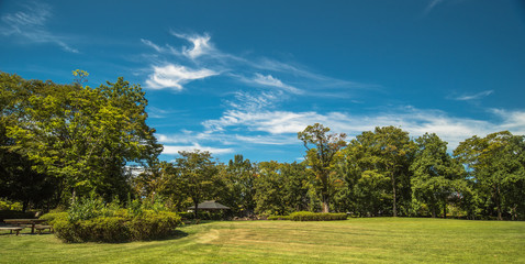 C&eacute;u lindo e dia lindo