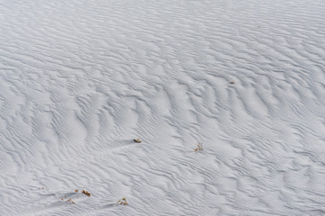 Beautiful texture on white sand in Nubra Valley, Leh, Ladakh, Jammu and Kashmir, Indian, Himalayas