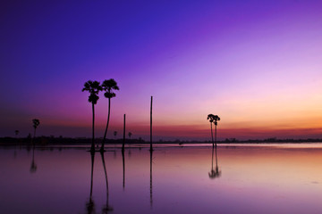 Silhouette twilight sunset sky reflect on the water with palm tree landscape