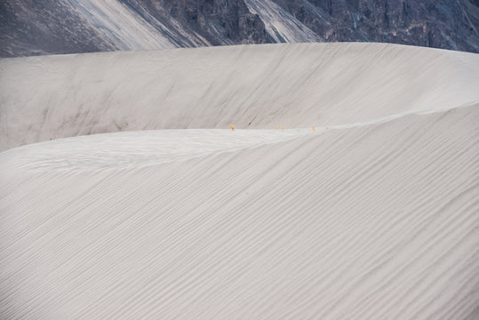 Dunes in Nubra Valley, Leh, Ladakh, Jammu and Kashmir, Indian, Himalayas