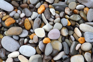 Sea stones background Nature Sea eco River
