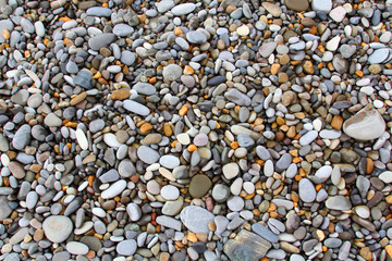 Sea stones background Nature Sea eco River
