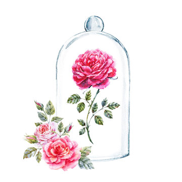 Rose In A Glass Case
