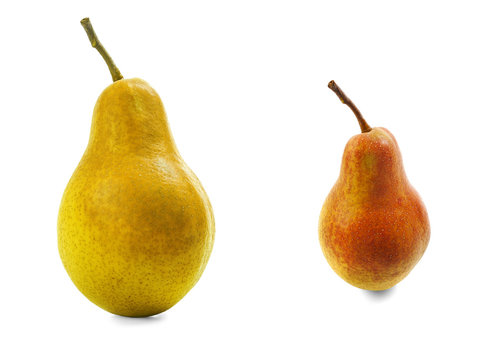 Two pears red and yellow with shadows on a white background