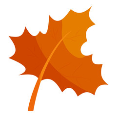 Autumn leave icon in cartoon style isolated on white background. Plant symbol vector illustration