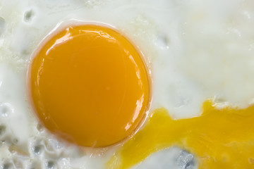 One fried egg, close up, background