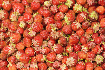 Ripe red strawberries, background