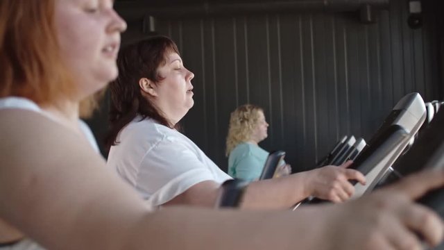 Two fatty women working out on cross-trainers while one woman running on a treadmill in the gym