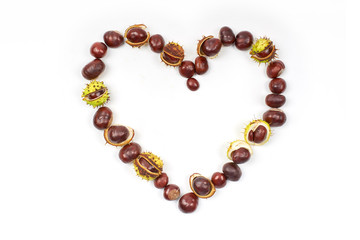 Herz aus Kastanien, isoliert