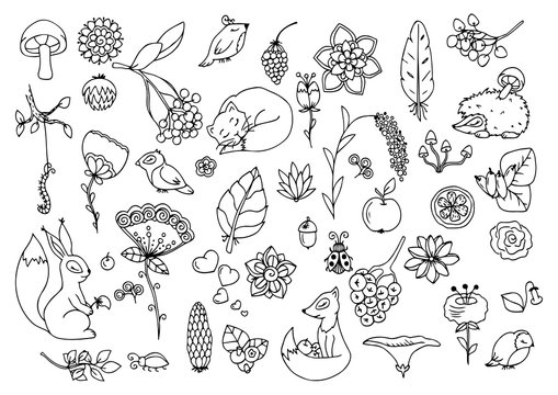 Vector illustration e, set the forest, animals and flowers. Doodle drawing. Meditative exercises. Coloring book anti stress for adults. Black white.