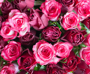 Bunch of red and pink roses