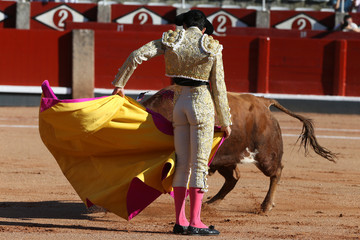 Torero y toro bravo en la plaza