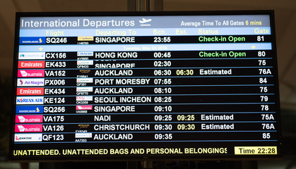 International Travel