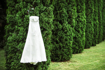 A long white wedding dress hanging lonely on the tree
