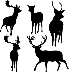 deer and roe silhouettes on the white background - 121905225