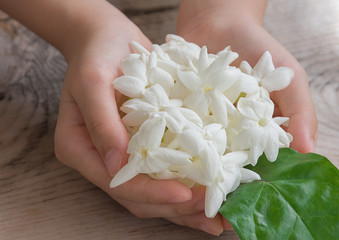 Jasmine plenty in hand.