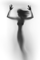 Obraz na płótnie Canvas Silhouette of a beautiful, sexy, slim woman with palms