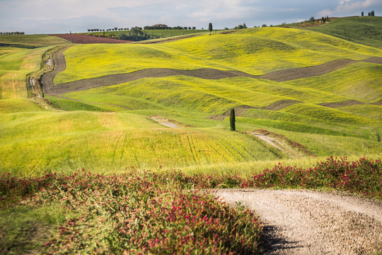 Val d'Orcia, Tuscany, Italy