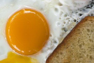 One fried egg with a piece of bread; close up; background