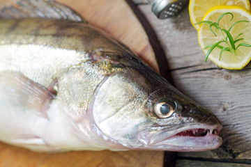 Raw zander on the cutting board in the kitchen

