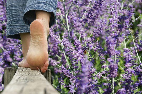marche pieds nus - lavande