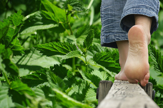 marche pieds nus - orties