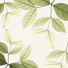 classic color leaves for natural concept background

