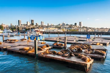 Famous pier 39 at the Fisherman's Wharf in San Francisco © belyay